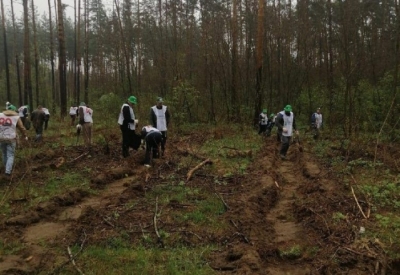 В Курской области вновь расцветают сады памяти: взгляд изнутри