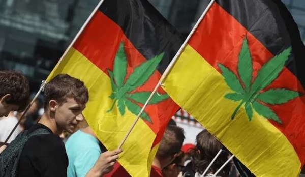 В Германии готовятся частично легализовать каннабис для личного употребления